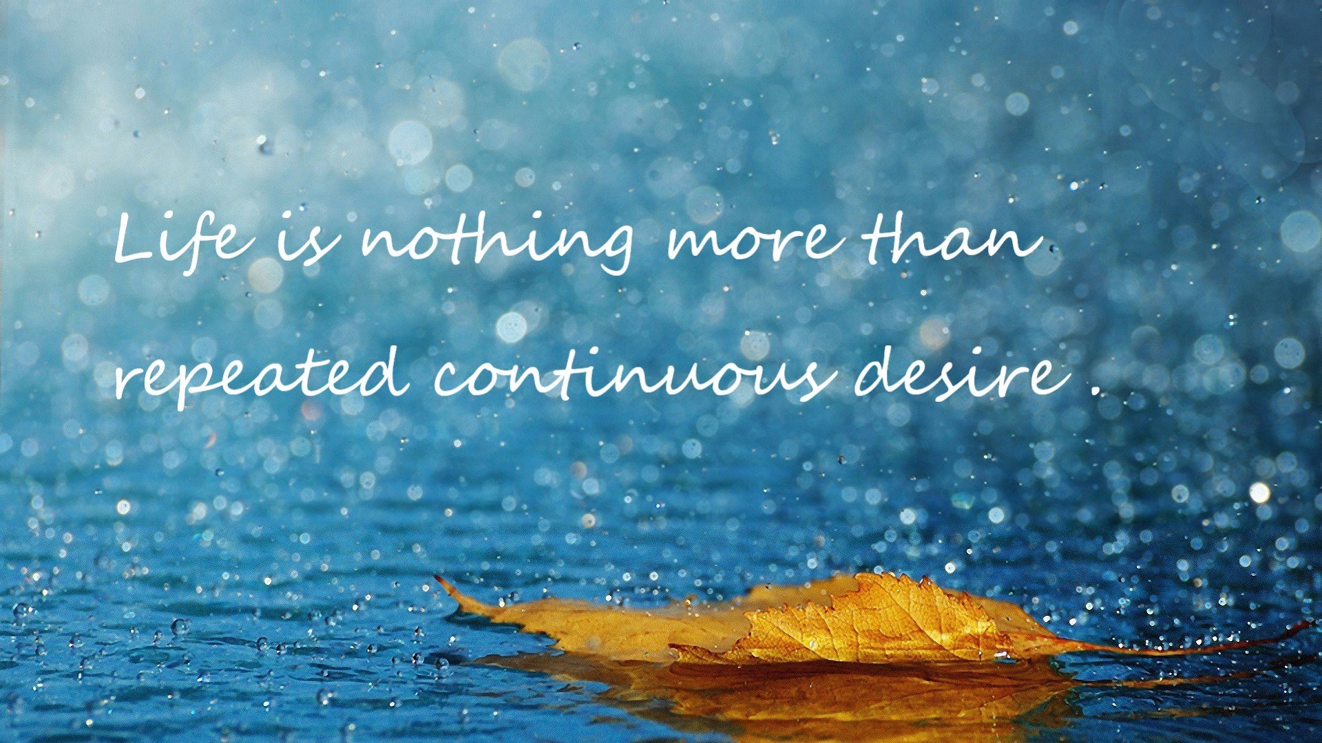 _青少年极限攀爬赛:从低难度到高挑战_,青少年攀岩比赛规则