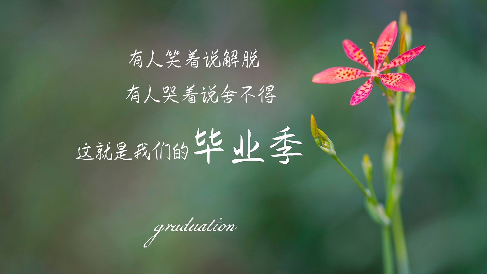 _雄鹿队字母哥连续佳绩，领跑联盟_，雄鹿主帅_字母哥取得很好进展 但无复出时