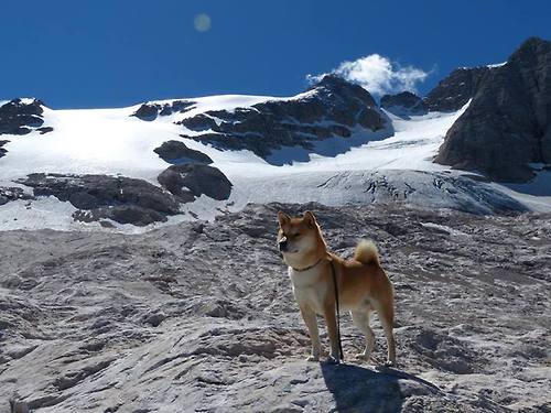 “研究分析:不同球队的战术风格大比拼”,nba球队战术图解