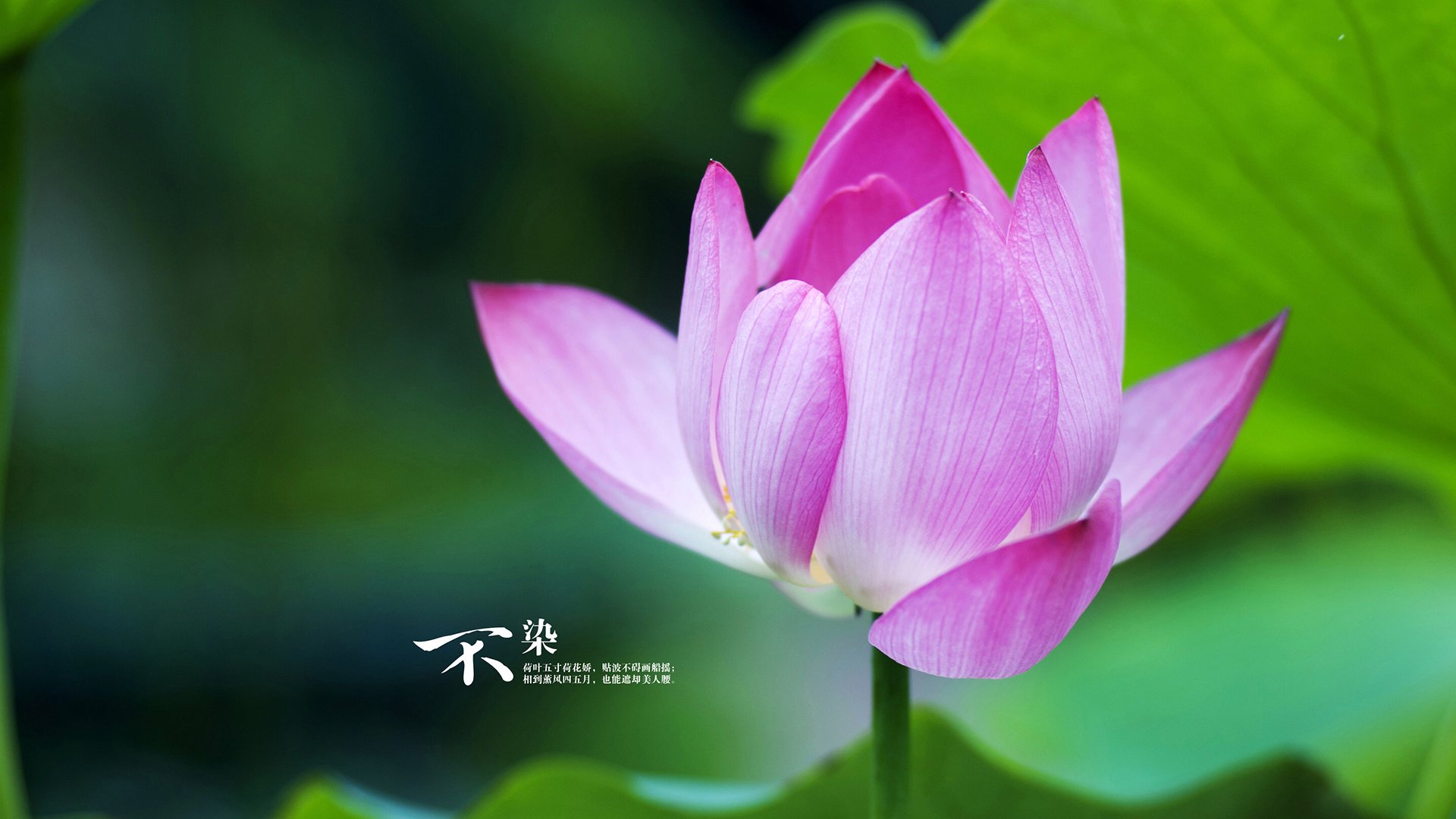 “足球+媒体”深度融合，推动全民足球文化向纵深发展，如何打造足球体育文化