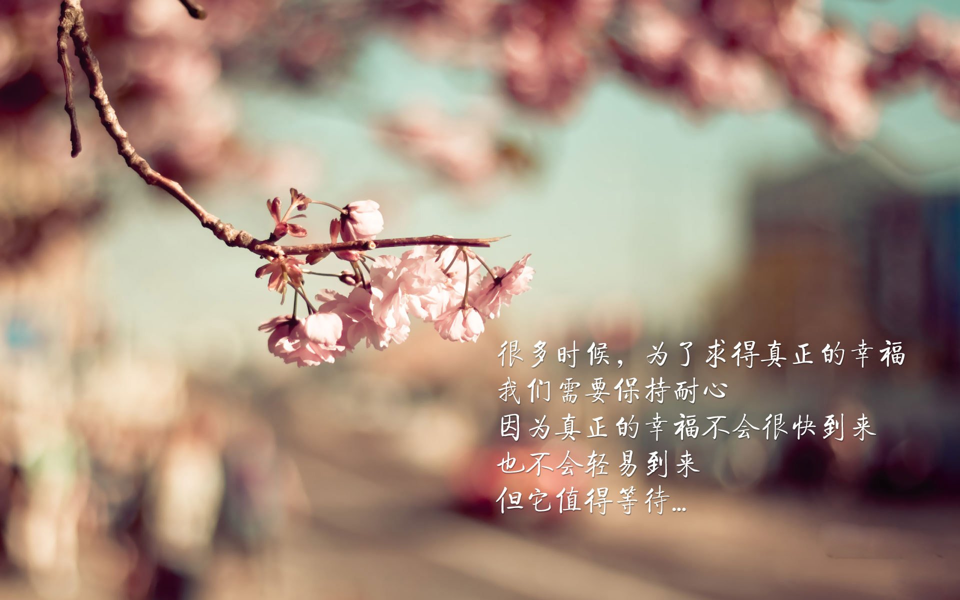 博卡青年在阿甲四分之一决赛中被独立队淘汰，博卡青年队竞技的比分预测