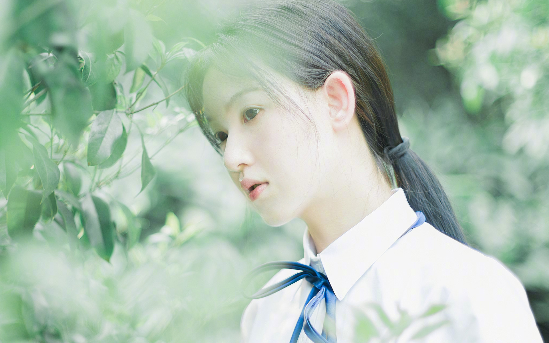 摔跤比赛：力量与技巧的巅峰较量，摔跤 比赛