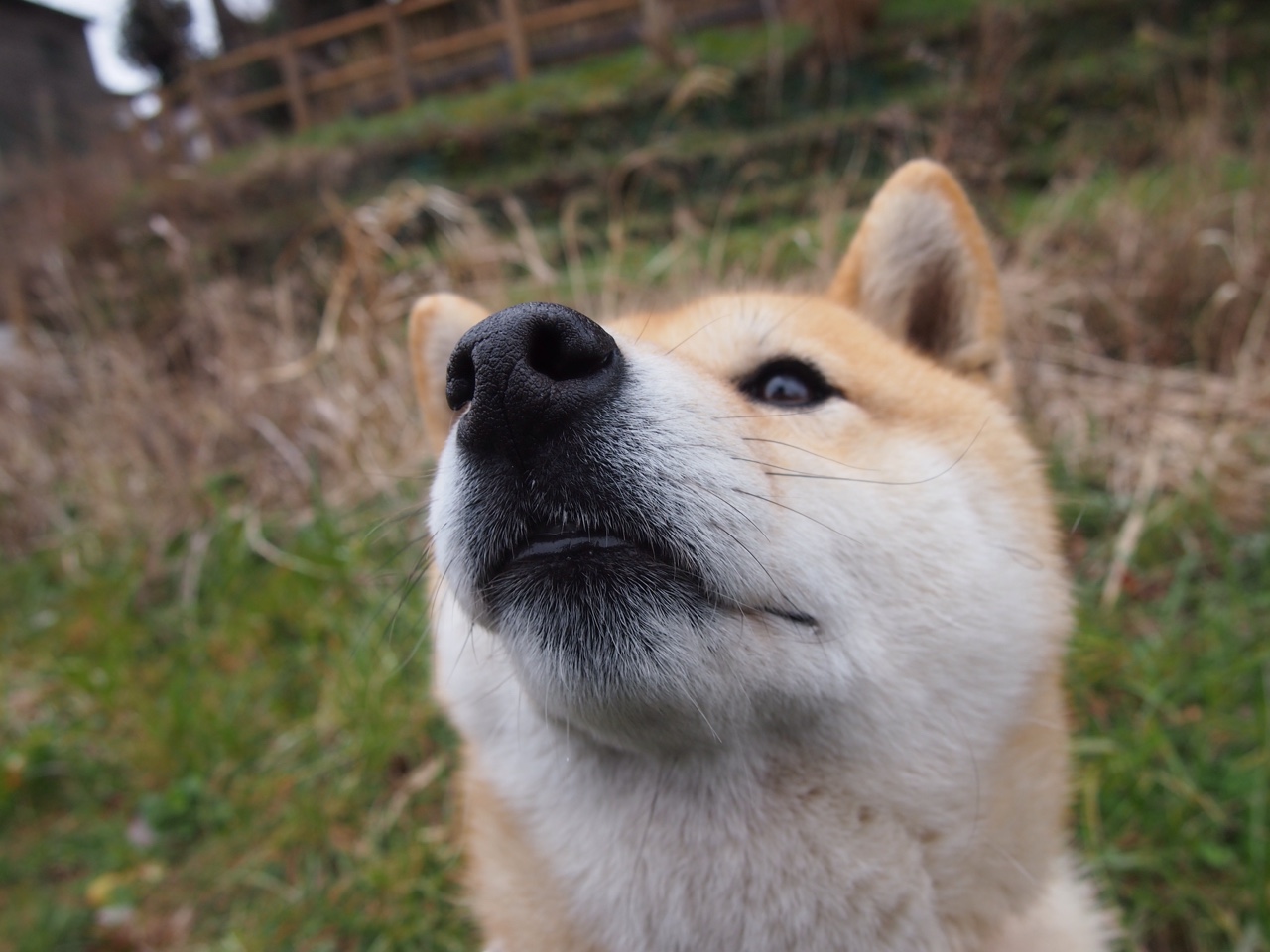 fb体育平台安全-T1战队粉丝互动增强，t1战队官方