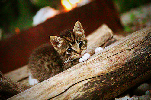 东京FC与对手正面交锋，比赛将激烈进行，东京fc厉害吗