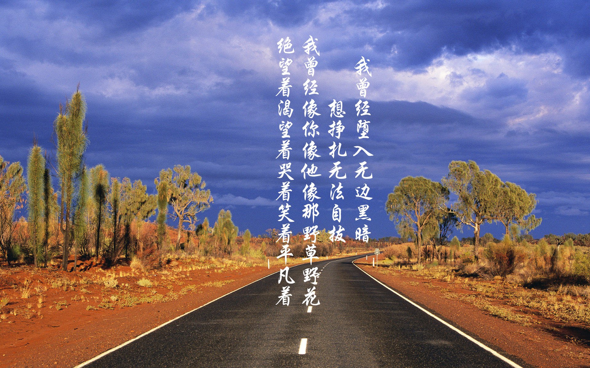 乌拉圭队在世界杯预选赛中连续取得胜利，士气高涨，乌拉圭世界杯名单公布