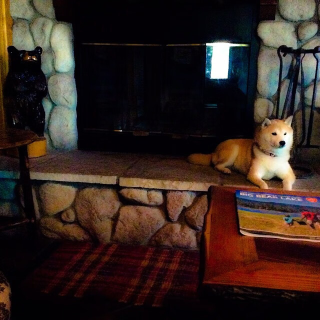 FB体育-历史性滑雪场举办首届城市挑战赛，滑雪场比赛视频