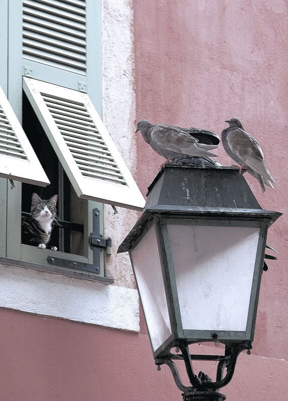 尤文图斯调整战术阵型，尤文图斯训练