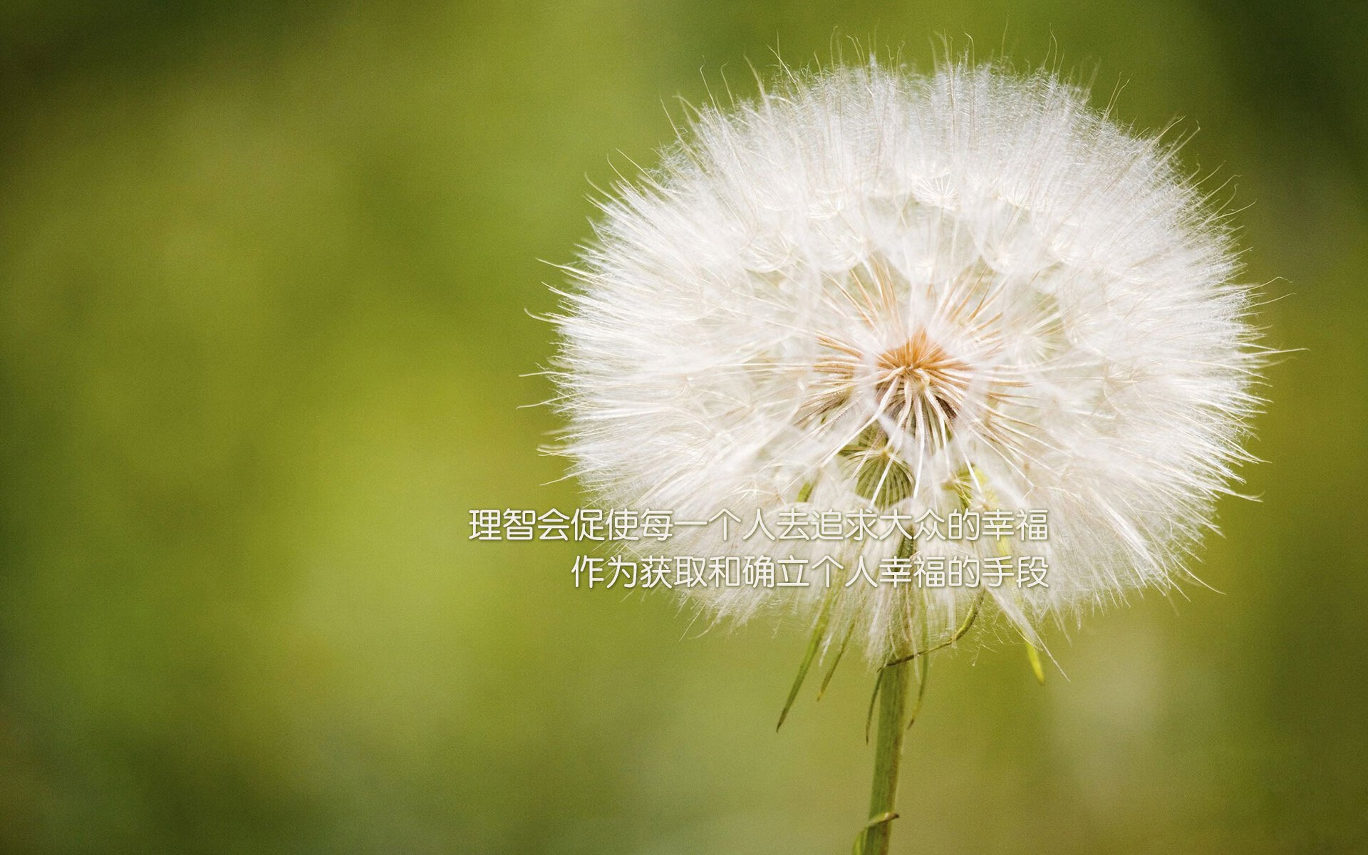 广东队主帅获赞扬，球队士气高涨，广东队的广东球员