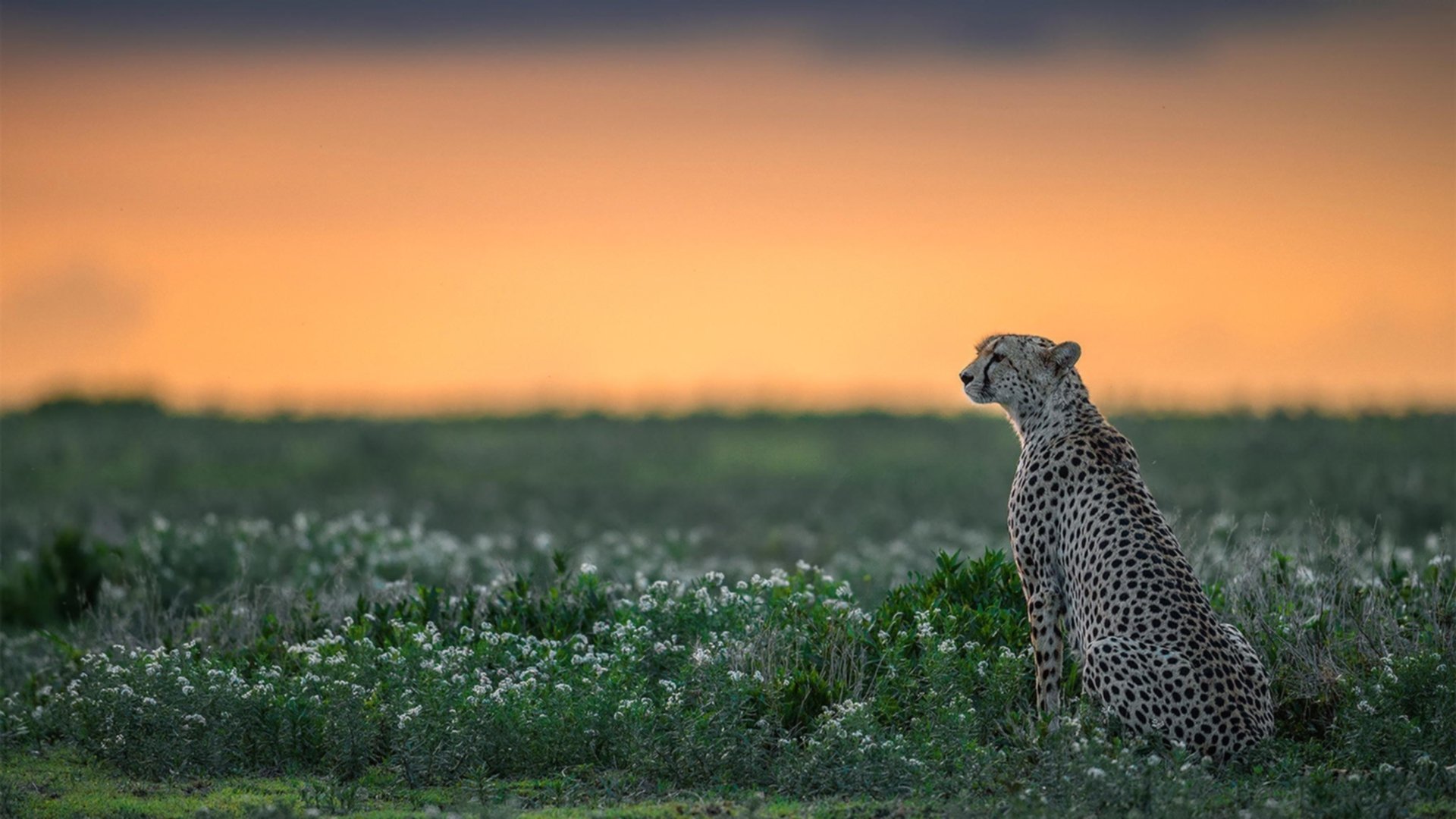 青少年体质监测数据驱动下的个性化干预策略研究，青少年体质状况调查报告