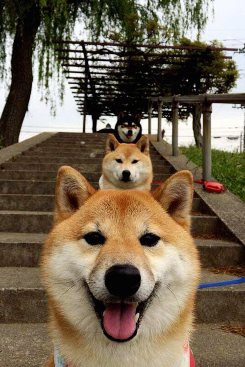 中国香港队如何加强国际合作与交流，提升团队战术执行力，香港队一起合影