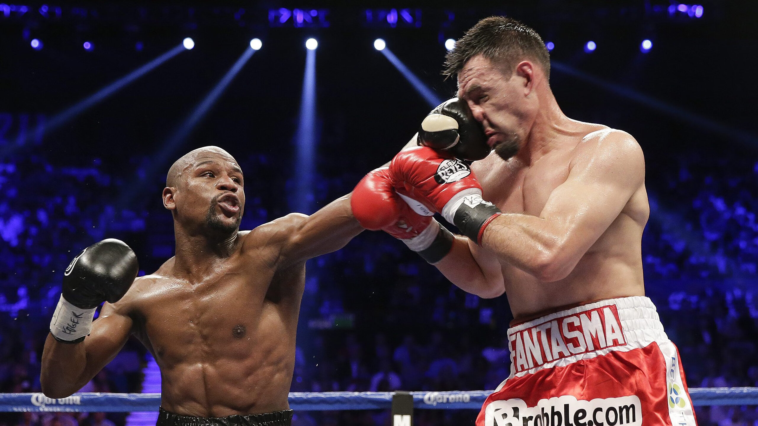 “青训++互联网”平台在全国普及，行业数字化转型加速，互联网+青红